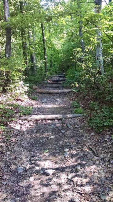 Maryland Trail